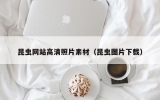 淮南昆虫网站高清照片素材（昆虫图片下载）